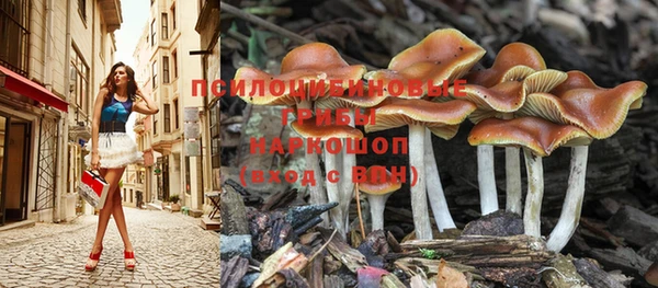 таблы Армянск